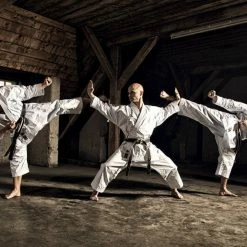 Hayashi WKF Karate-Gi TENNO II - Premium, 0491-1