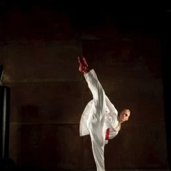 Budget โ Hayashi WKF Karate-Gi CHAMPION FLEXZ, 043-1 Uniforms & Gi ๐ 16 Hayashi WKF Karate-Gi CHAMPION FLEXZ, 043-1 Uniforms & Gi